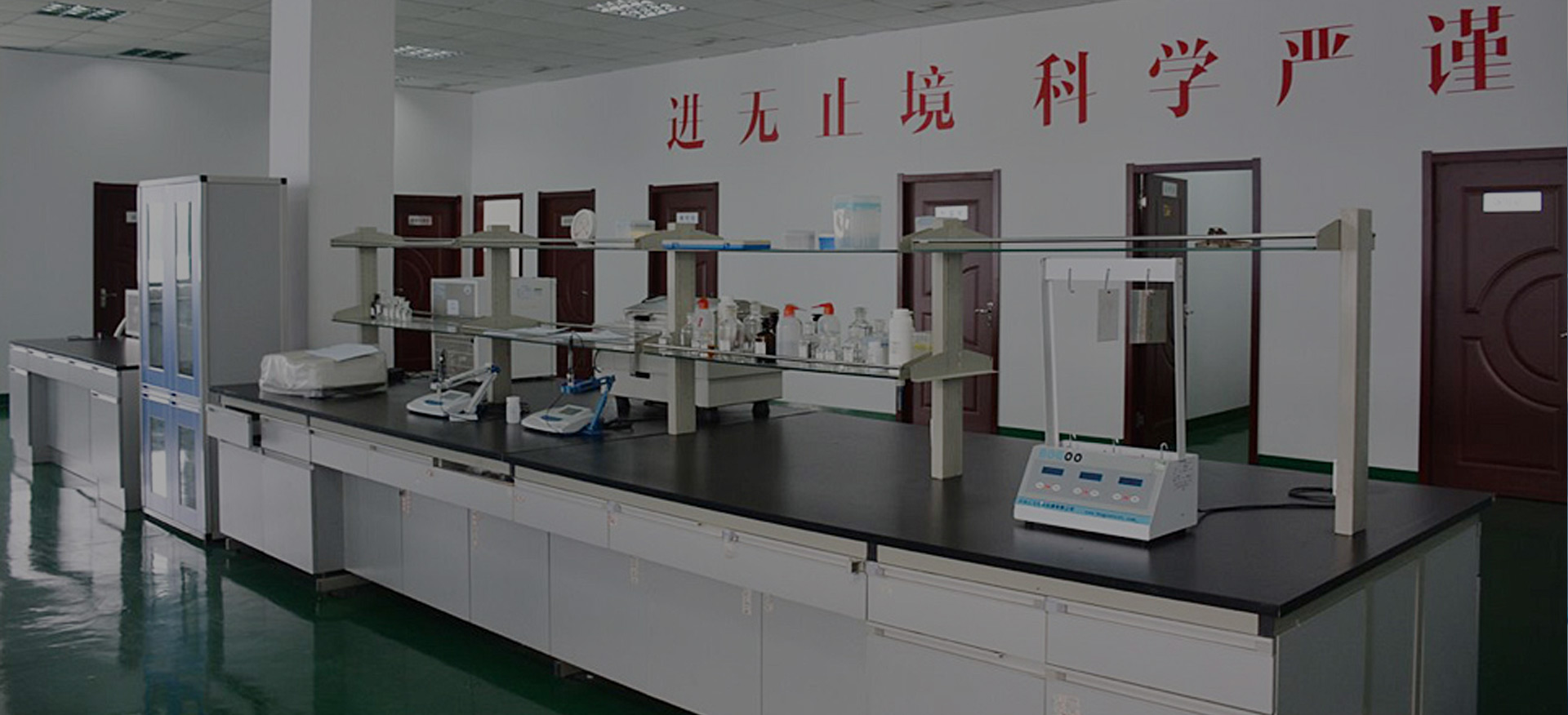 公司簡介